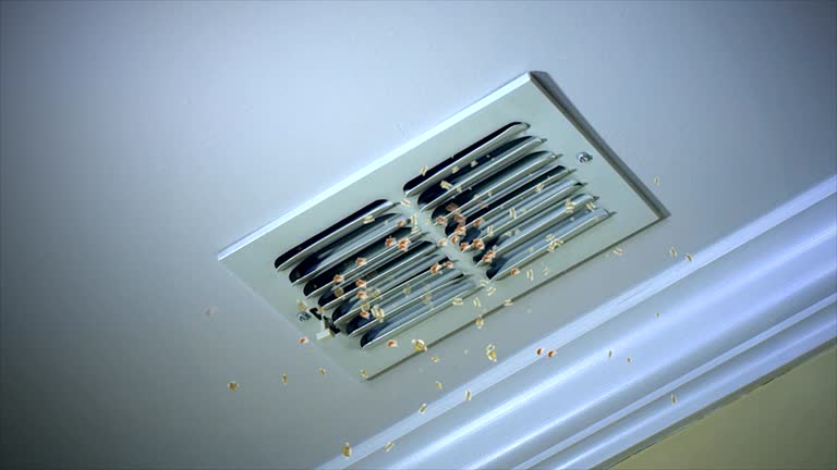 Best HVAC Duct Inspection Services  in Lakehills, TX